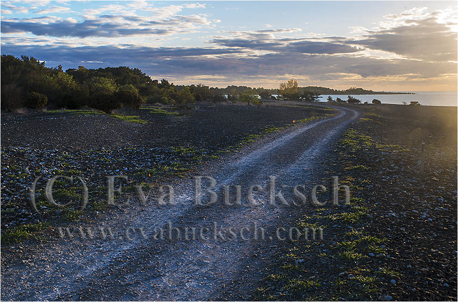 Vägen vid havet - foto av Eva Bucksch